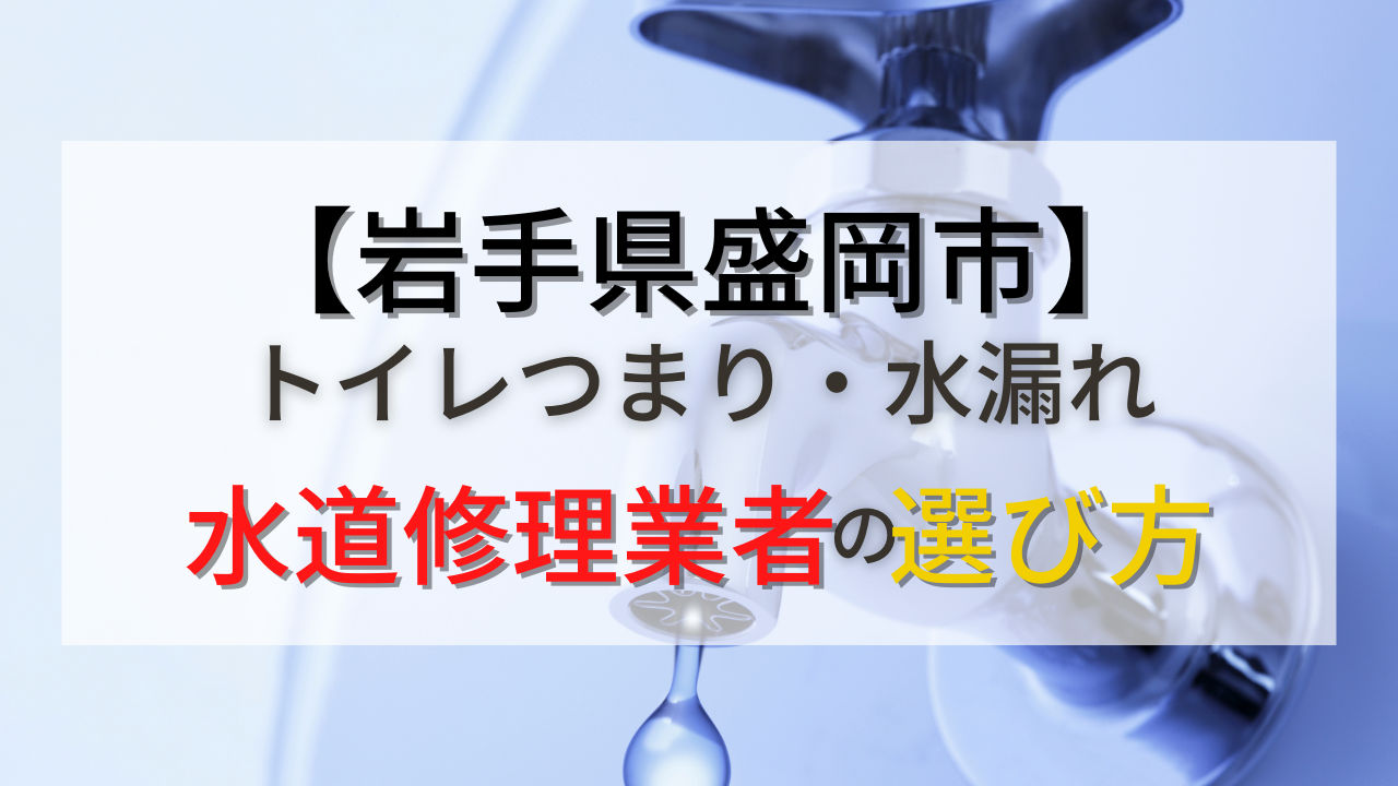 岩手県盛岡市のトイレつまり・水漏れを修理する業者の選び方